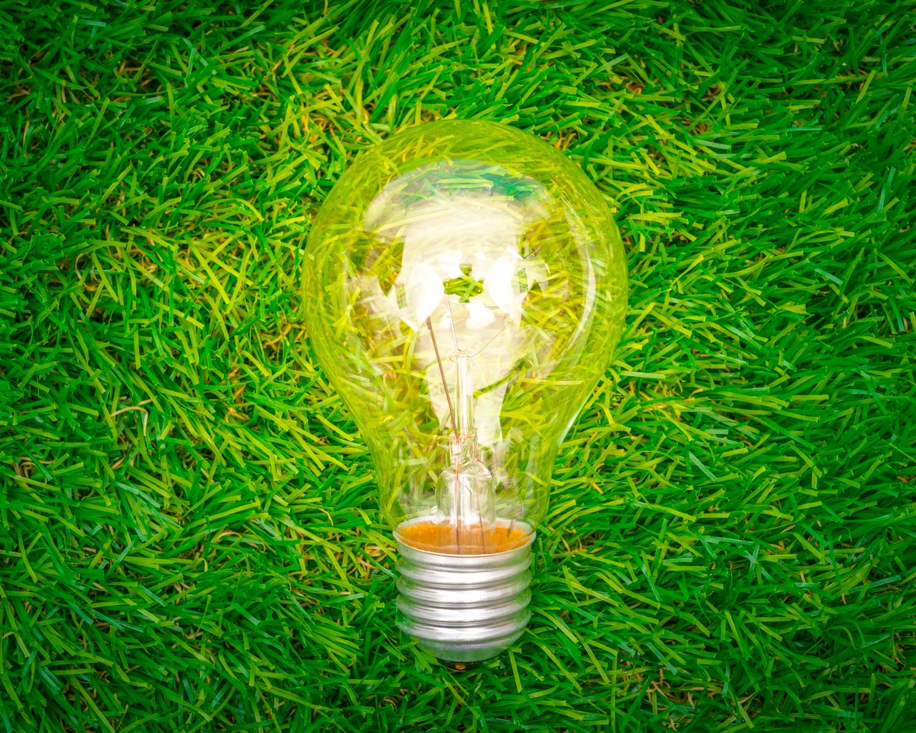 Energy efficient lightbulb displayed in the grass